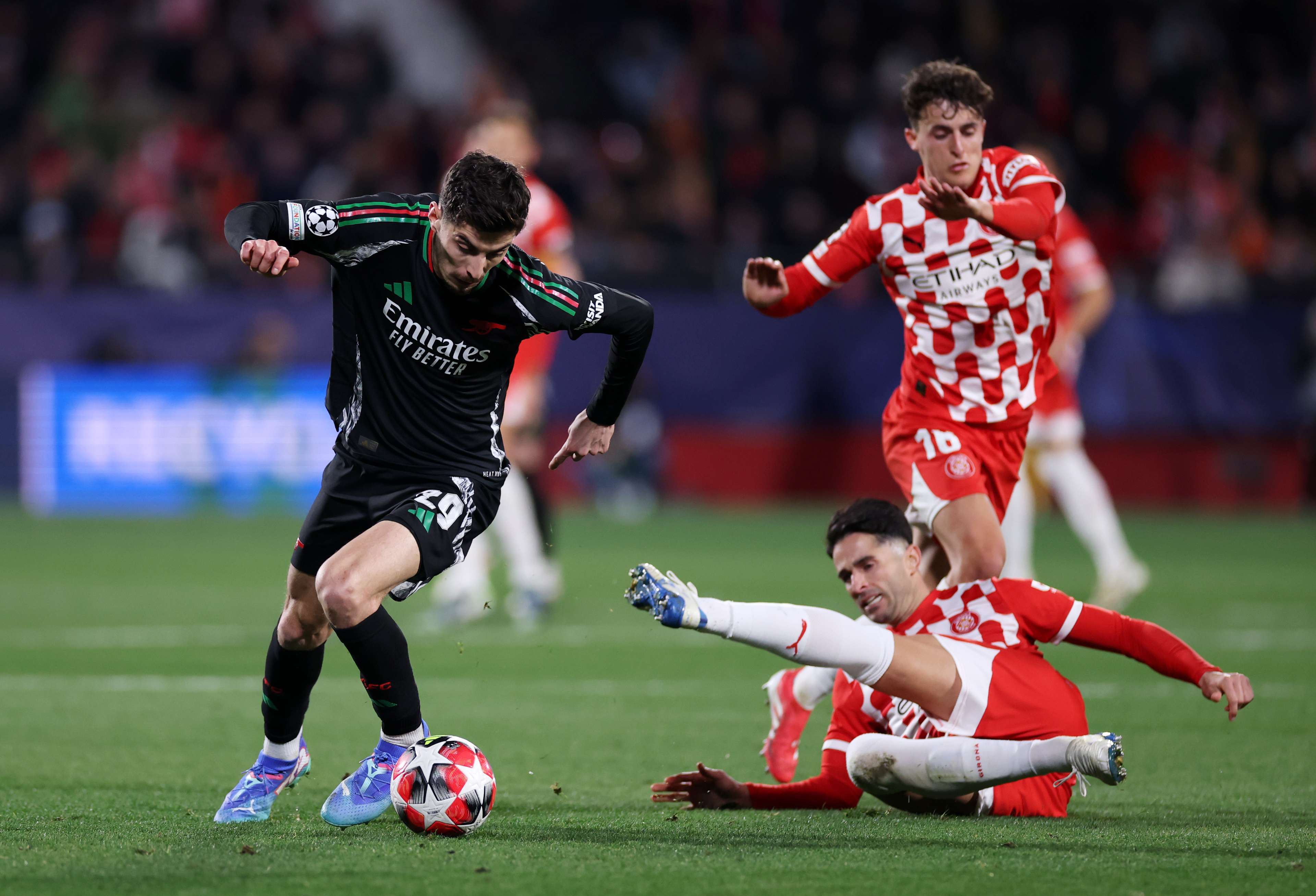 多次夺得冠 多次夺得冠