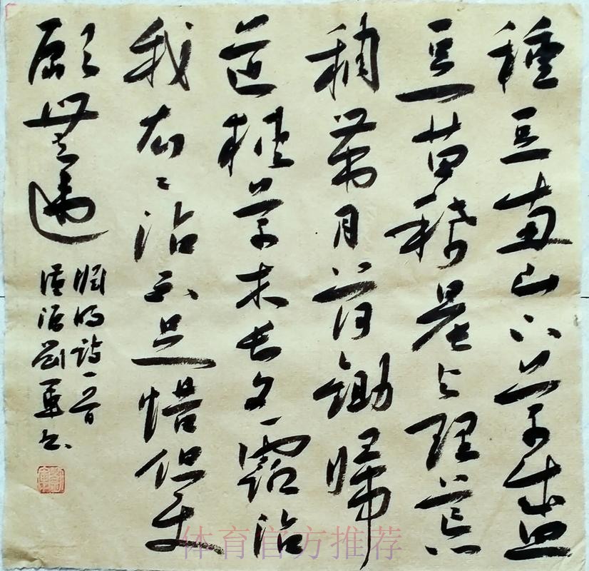 20260115 国奥出线 草根逆袭之旅